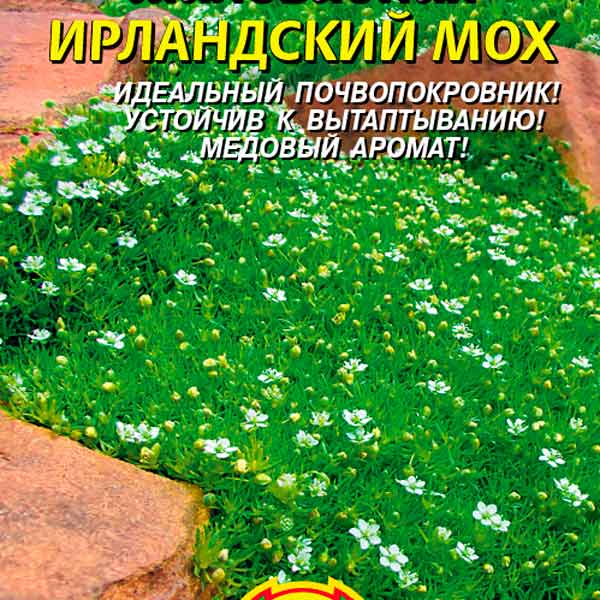 Как применять зелёное покрытие в ландшафтном дизайне